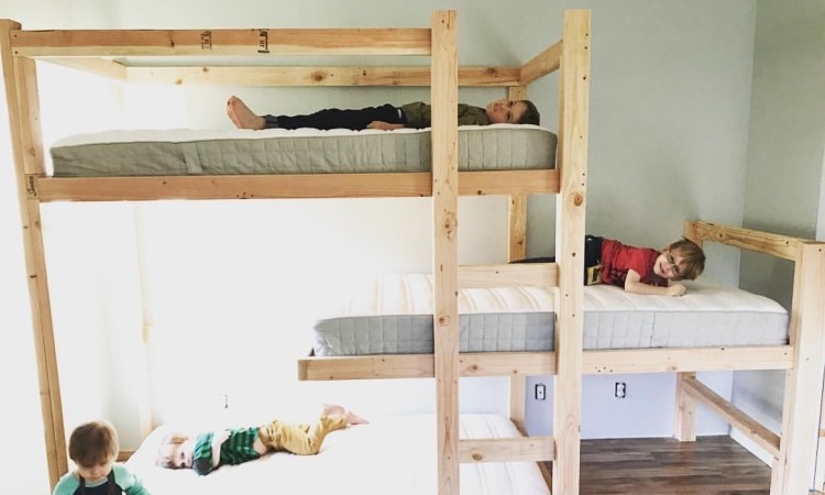 Bunk Bed with Children's Ladder